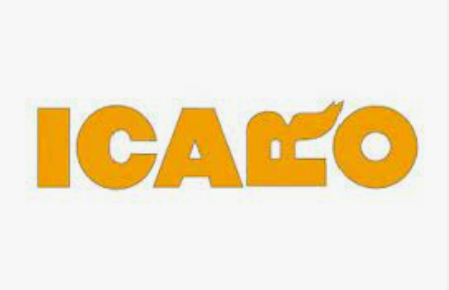 Scopri di più sull'articolo ICARO